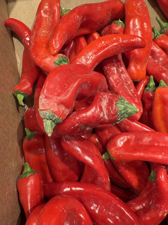 Paprika už má něco za sebou. Paprika už má něco za sebou.