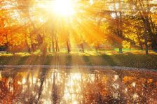 Podzim nabízí kromě příjemných procházek i množství divokých plodů a ovoce