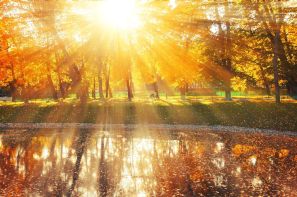 Podzim nabízí kromě příjemných procházek i množství divokých plodů a ovoce