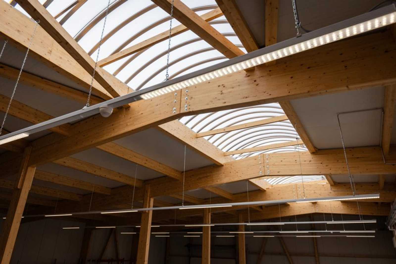 Untersicht des Holzdachtragwerks einer Systemhalle mit gebogenen Oberlichtbändern zwischen den Leimholzbindern