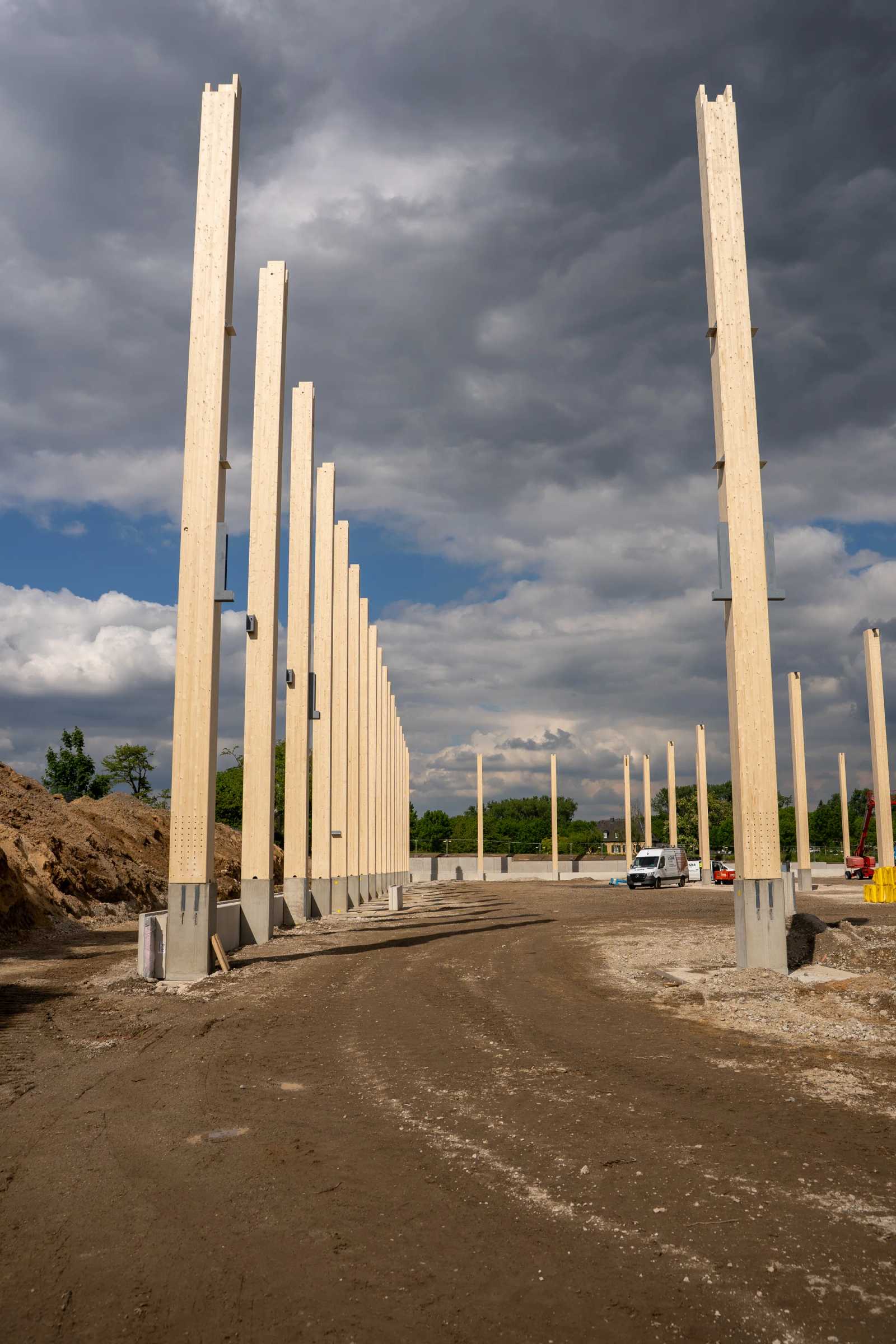 Feld aus Holz-Rohrstützen unter dramatischem Himmel auf der Baustelle
