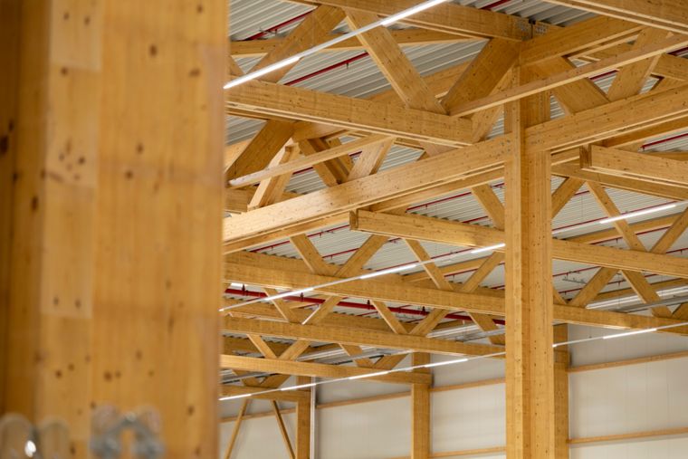Schrägansicht des Holztragwerks von unten entlang der Stützenreihe, mit sichtbaren Fachwerkträgern und Pfetten aus Brettschichtholz.