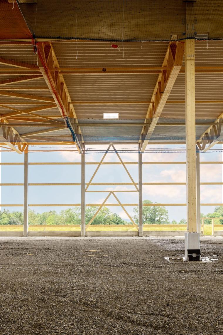 View from inside the hall beneath the timber roof structure towards the landscape, a timber column with steel base in the foreground