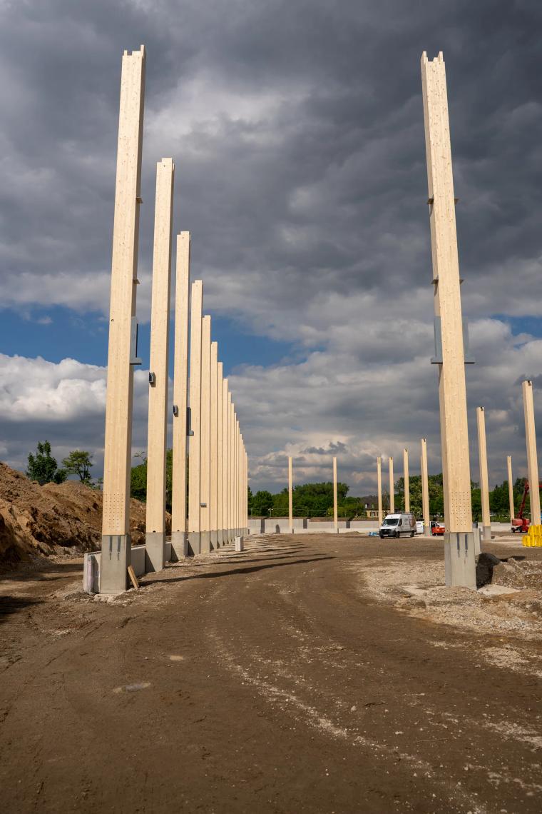 Reihe aufgerichteter Holzstützen auf der Baustelle
