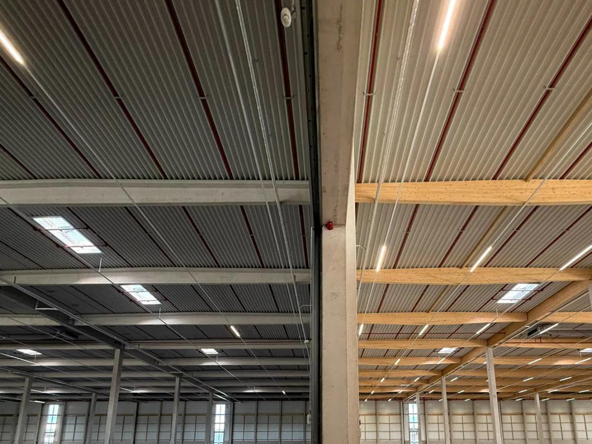Innenansicht der Logistikhalle mit Blick auf das Dachtragwerk: links Stahlträger, rechts sichtbare Brettschichtholz-Binder im direkten Vergleich.