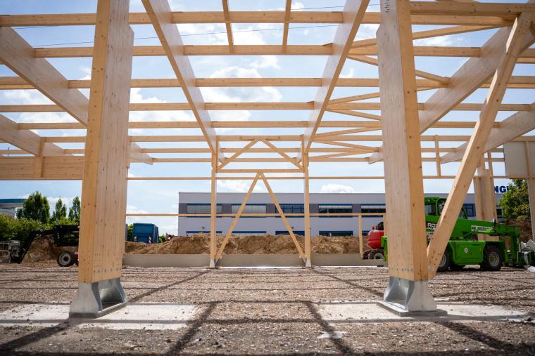 Blick von unten zwischen zwei Holzstützen in das Hallentragwerk