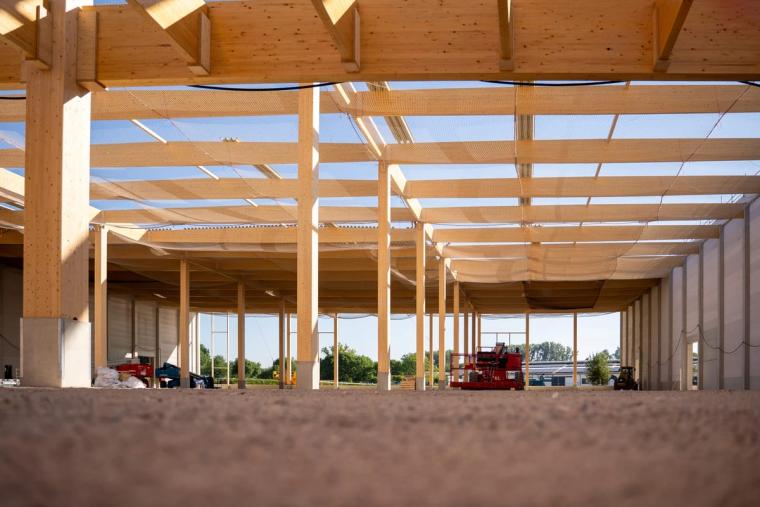 Innenansicht unter dem Tragwerk aus Holz mit gespannten Absturznetzen, im Hintergrund eine Hebebühne auf der Bodenplatte