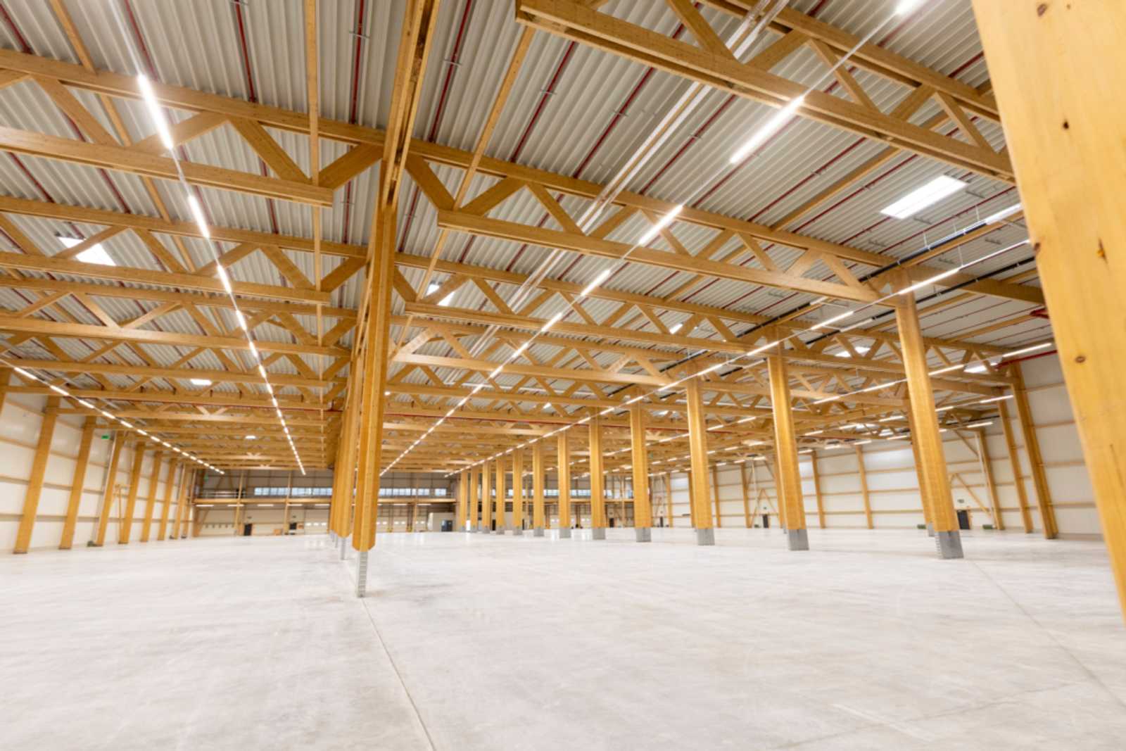 Weitgespannte Holz-Dachkonstruktion einer leeren Logistikhalle mit Fachwerkbindern