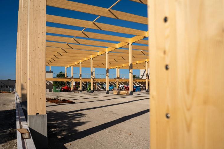Nahaufnahme einer Holzstütze mit Stahlfuß, dahinter das Raster aus Stützen und Trägern des Dachtragwerks