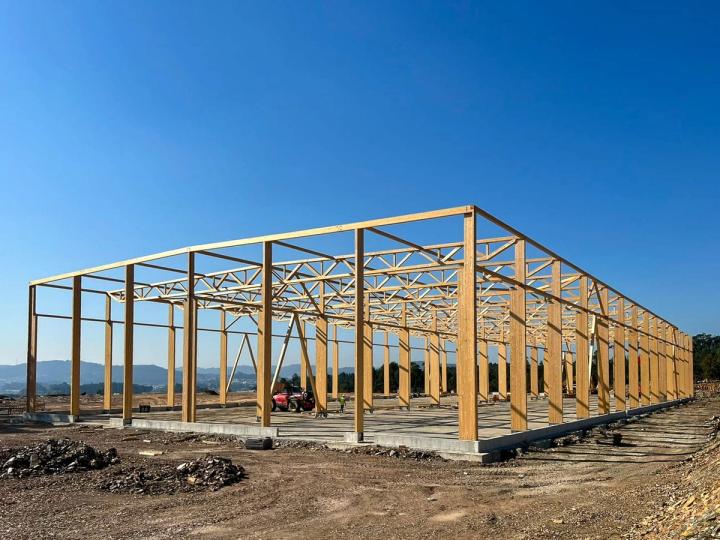 Freistehendes Holzskelett der Produktionshalle mit Stützenreihen und Fachwerkbindern vor blauem Himmel, noch ohne Fassade