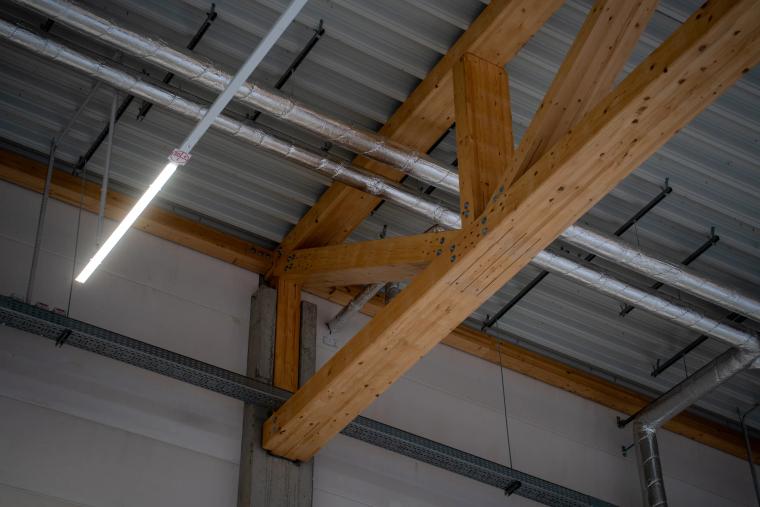 Holz Tusche · Bild 2/9