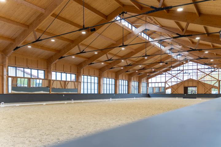 Sporthalle mit sichtbarem Holz-Dachtragwerk, Innenansicht