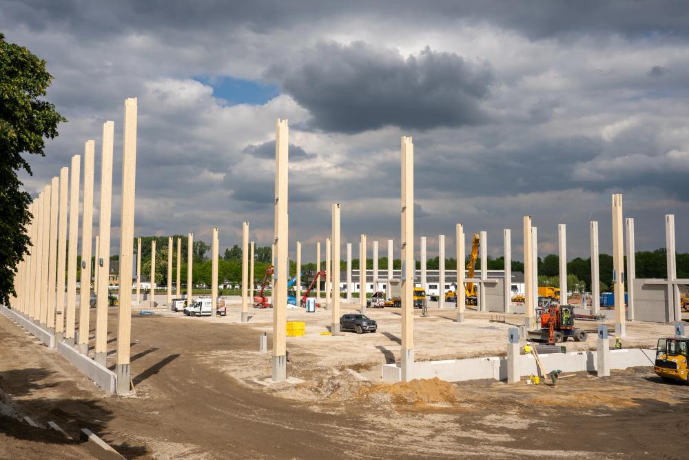 Feld schlanker Holz-Rohrstützen in voller Höhe auf der Baustelle, dramatischer Himmel