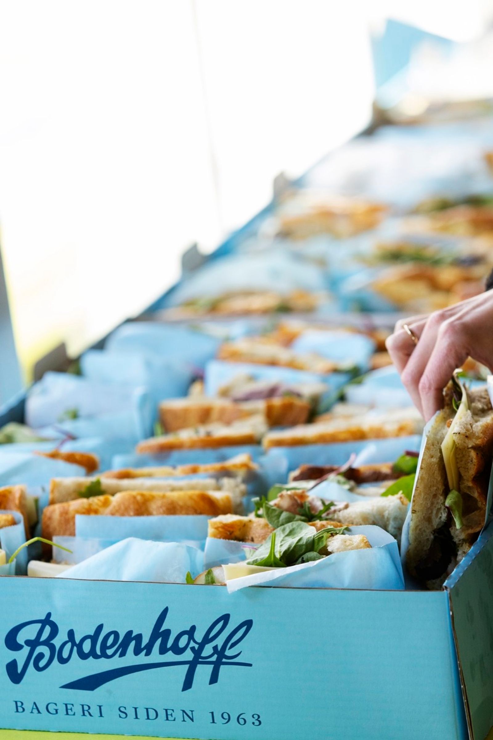 Pre-Season Day 1 photo 24