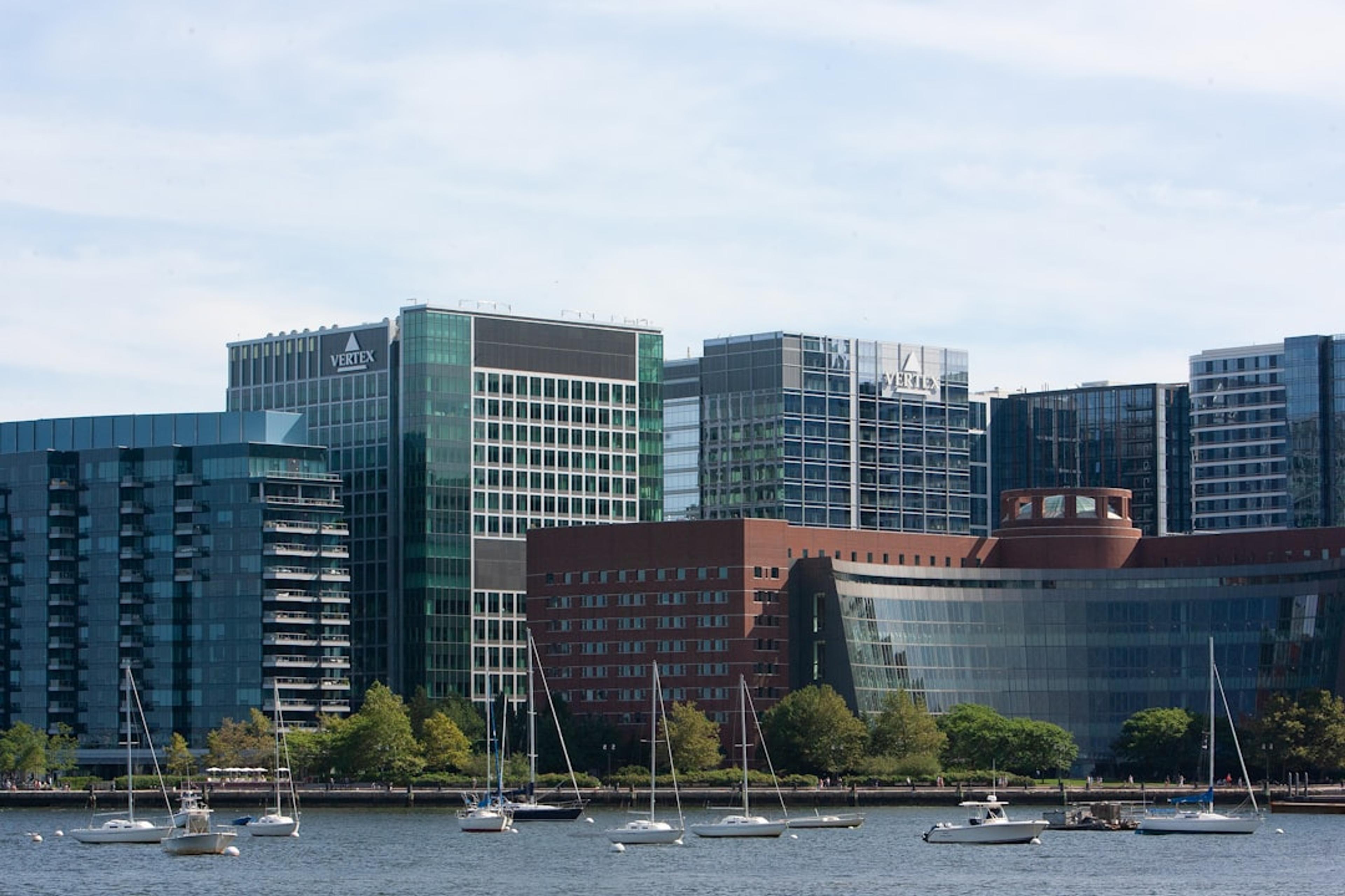 A body of water with a bunch of boats in it