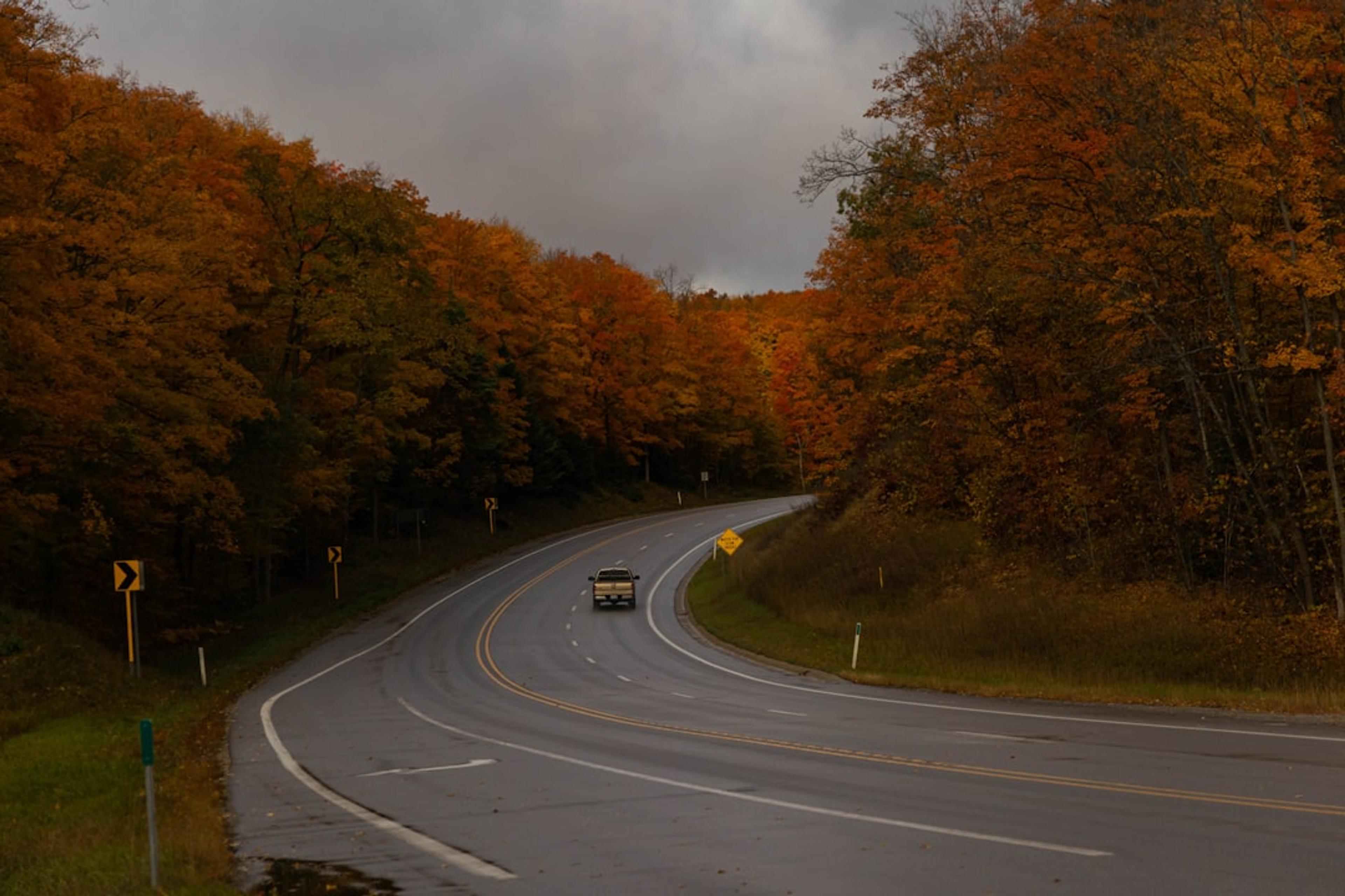 a road with trees on the side