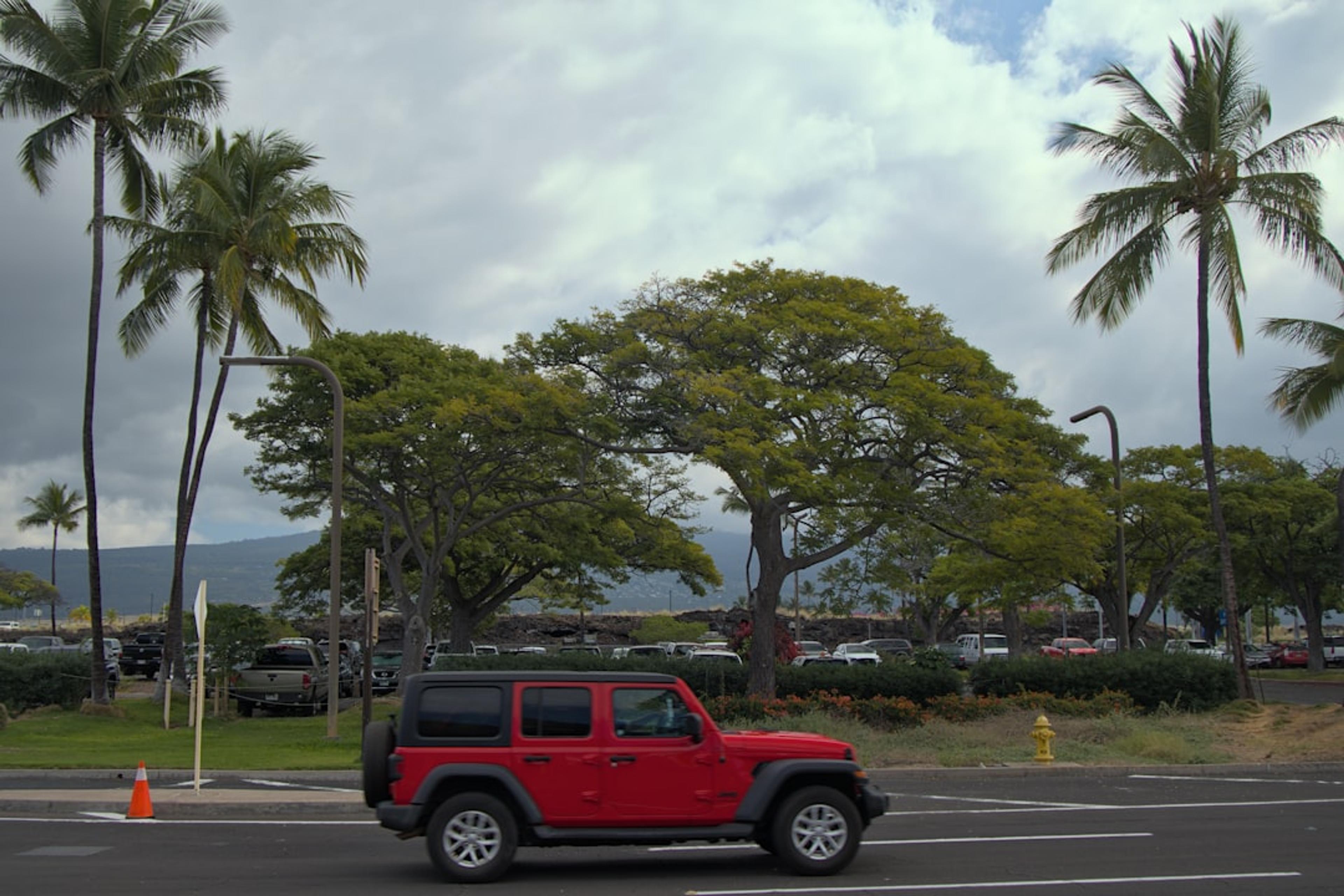 A red jeep driving down a street next to palm trees