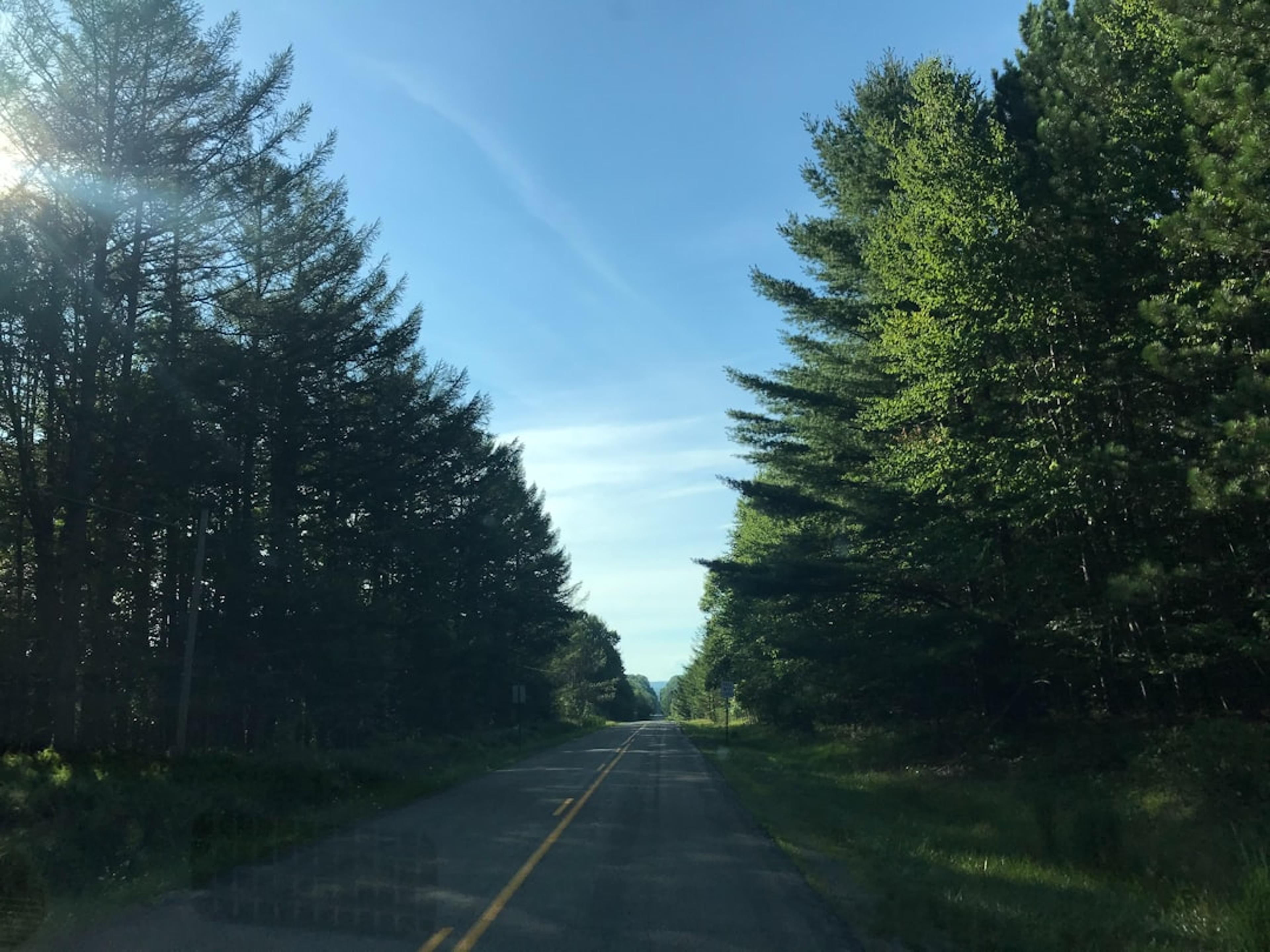 The sun shines brightly through the trees on the side of the road