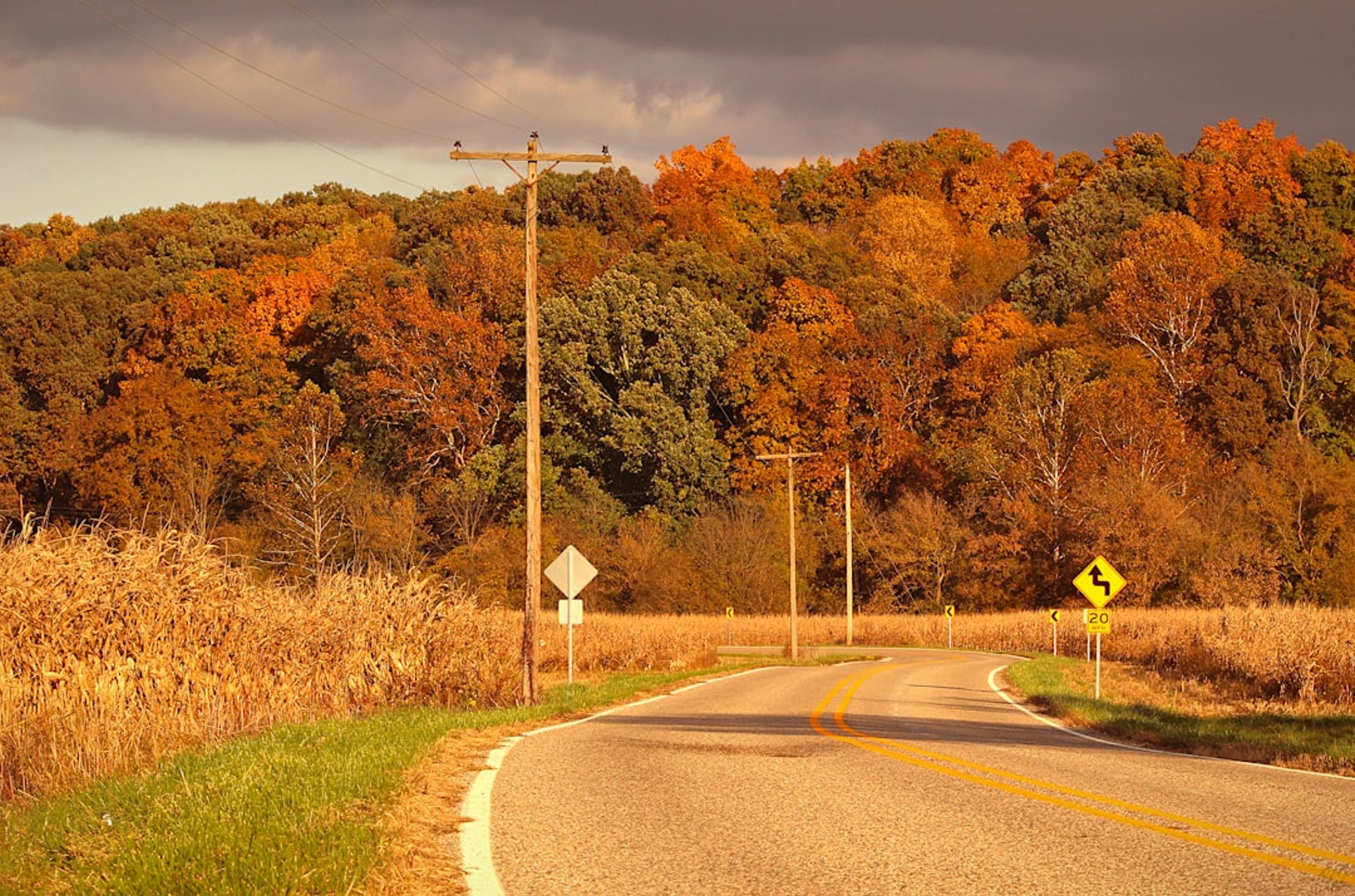 a road with trees on the side
