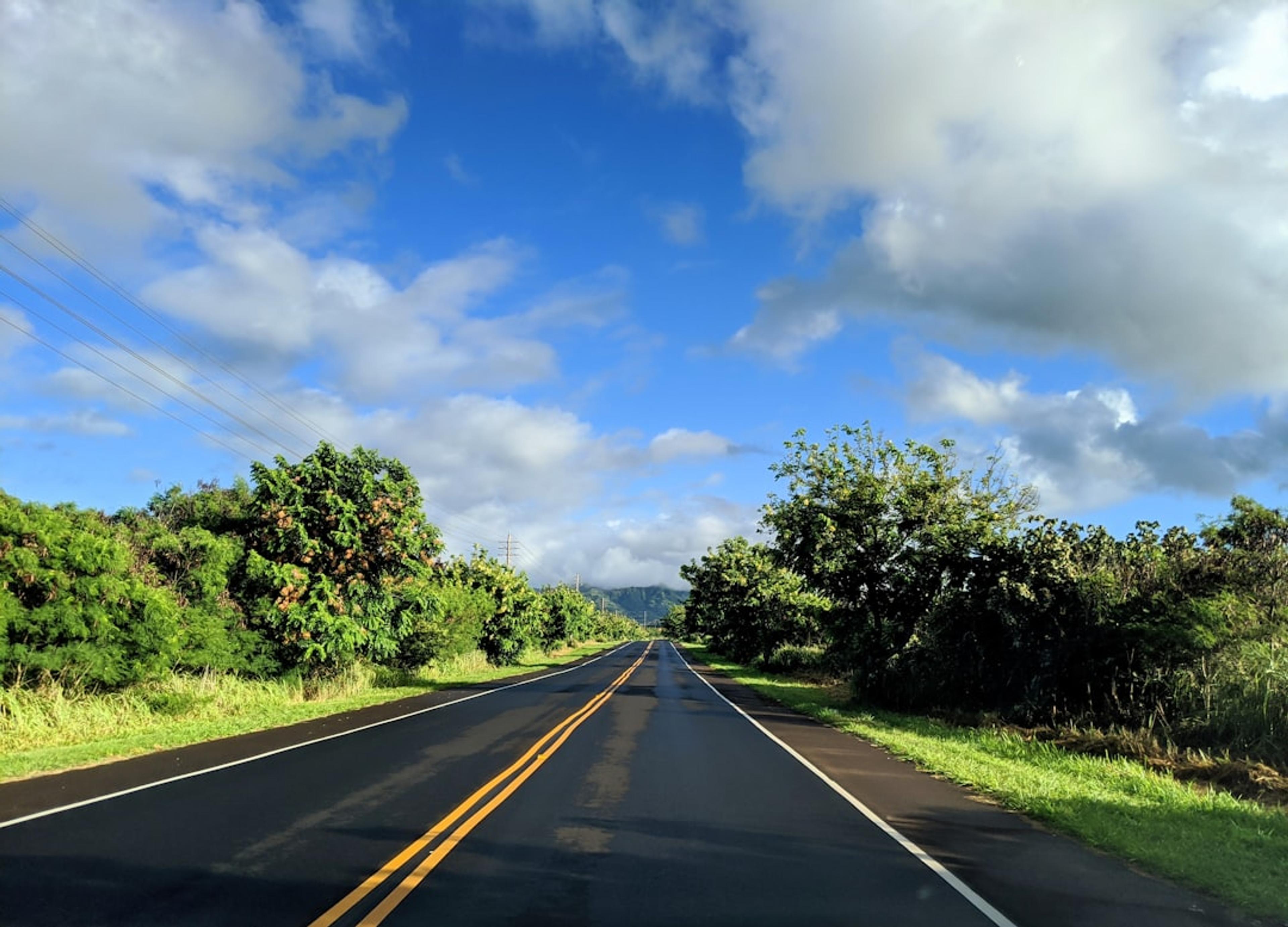 gray concrete road between green trees under blue sky and white clouds during daytime