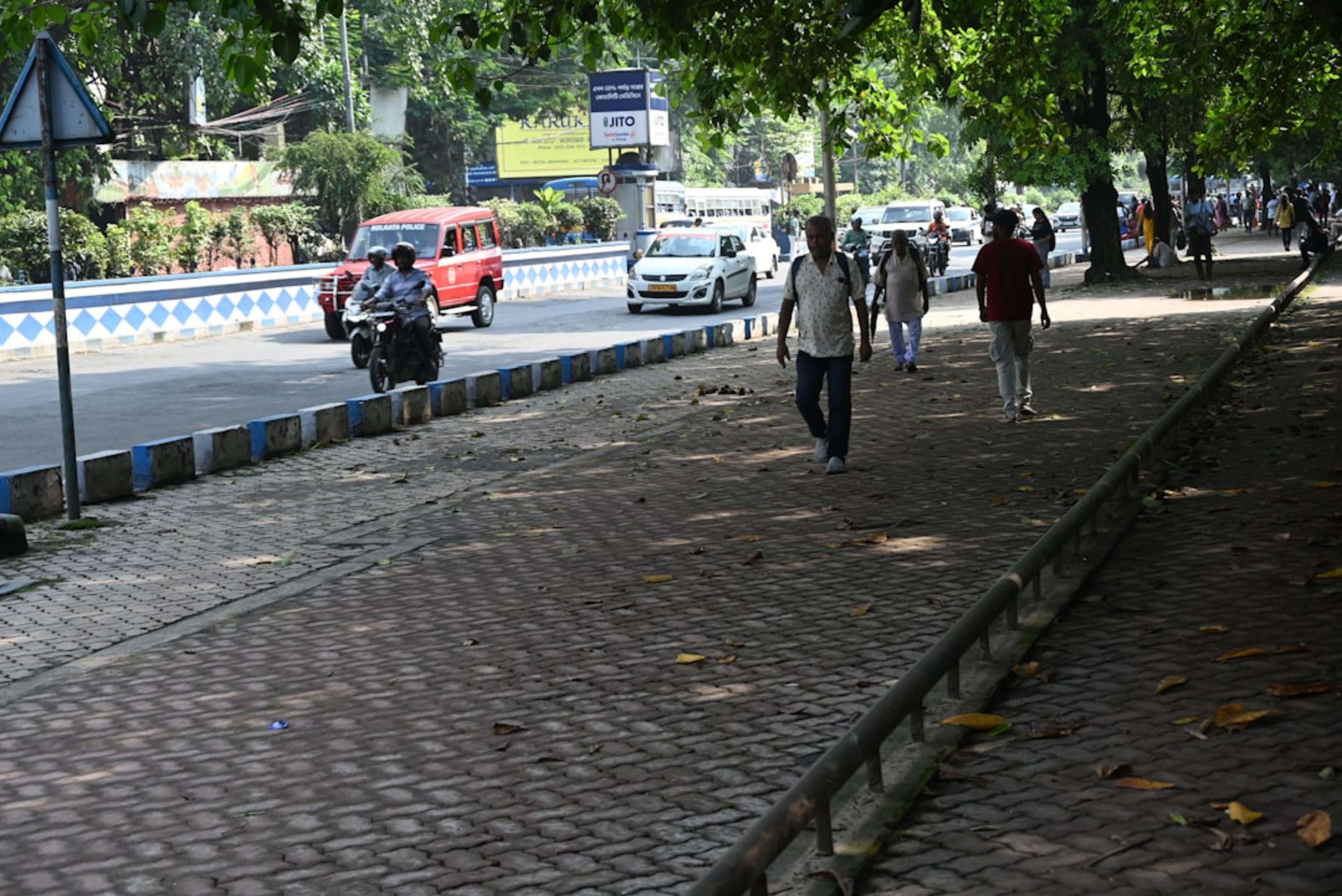People walking on a tree-lined sidewalk next to a street.