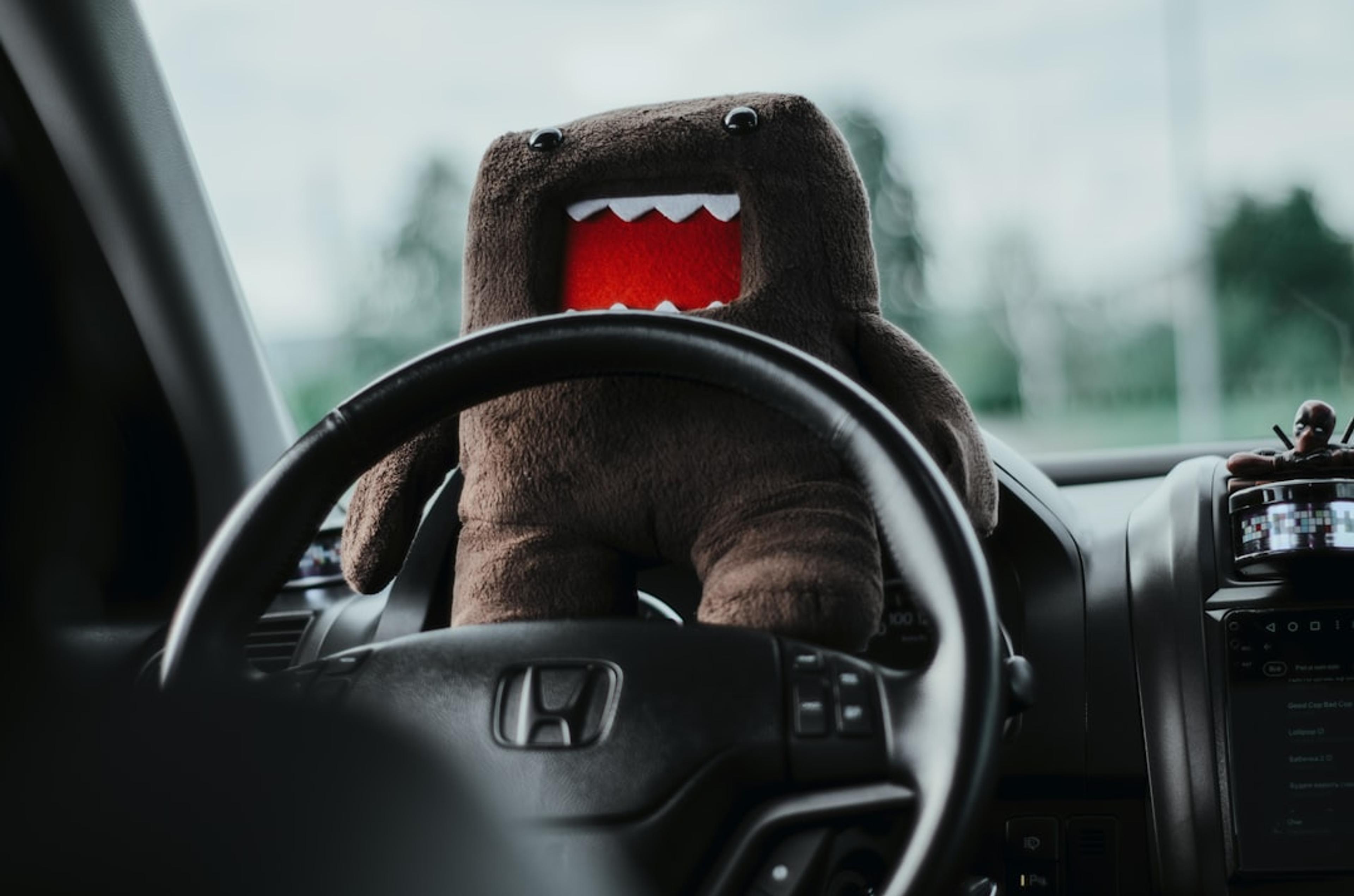 Domo is driving a car!