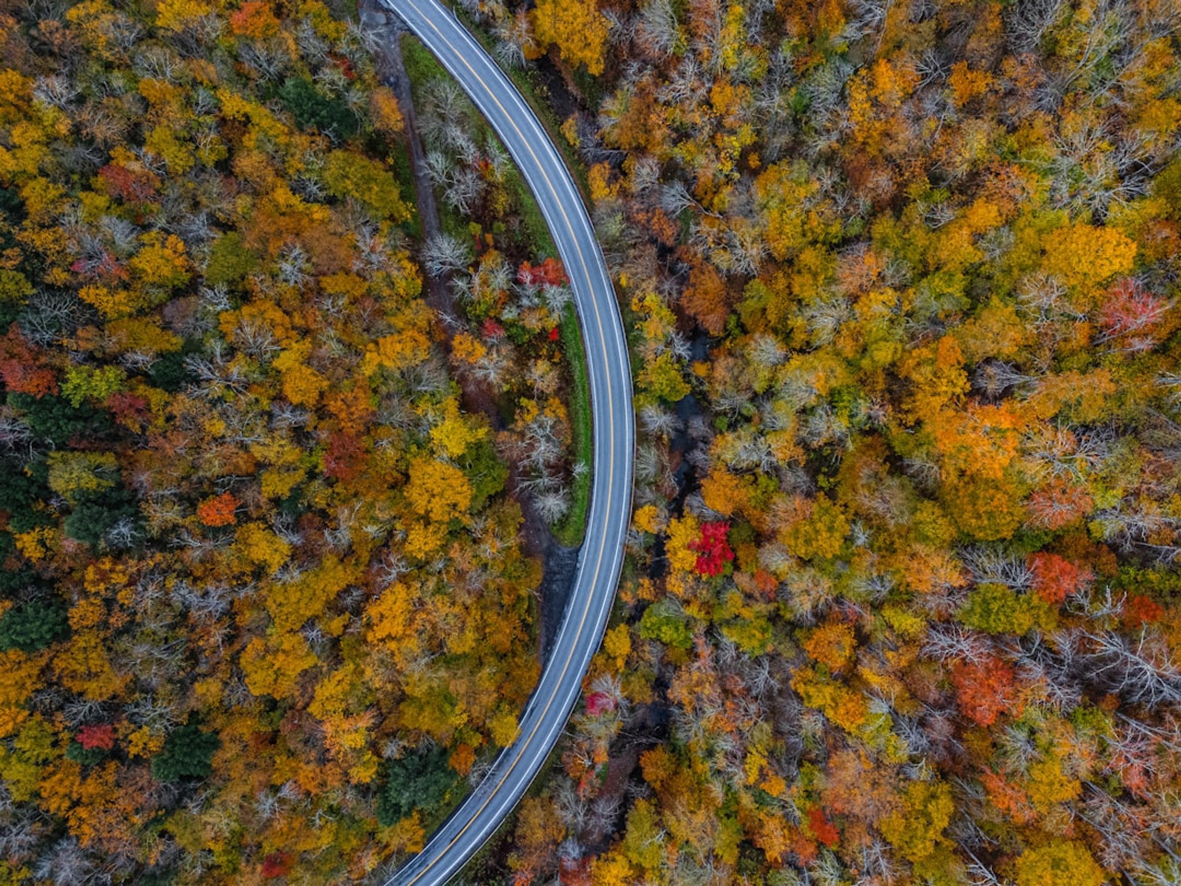 An aerial view of a road surrounded by trees