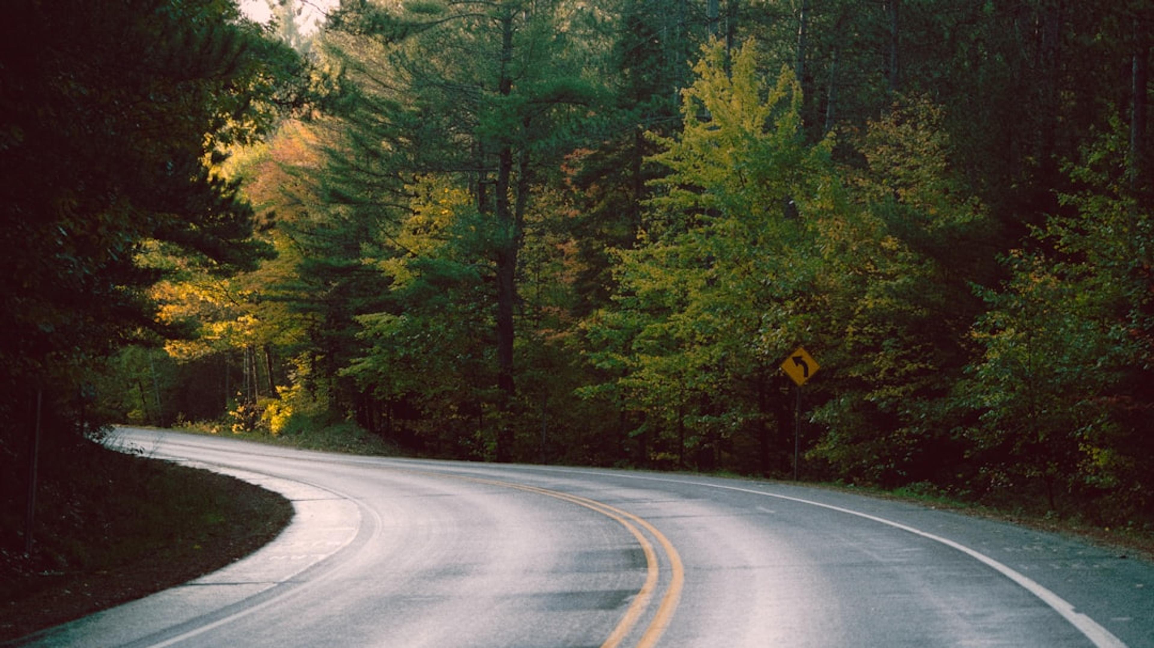 gray concrete road in between green trees during daytime
