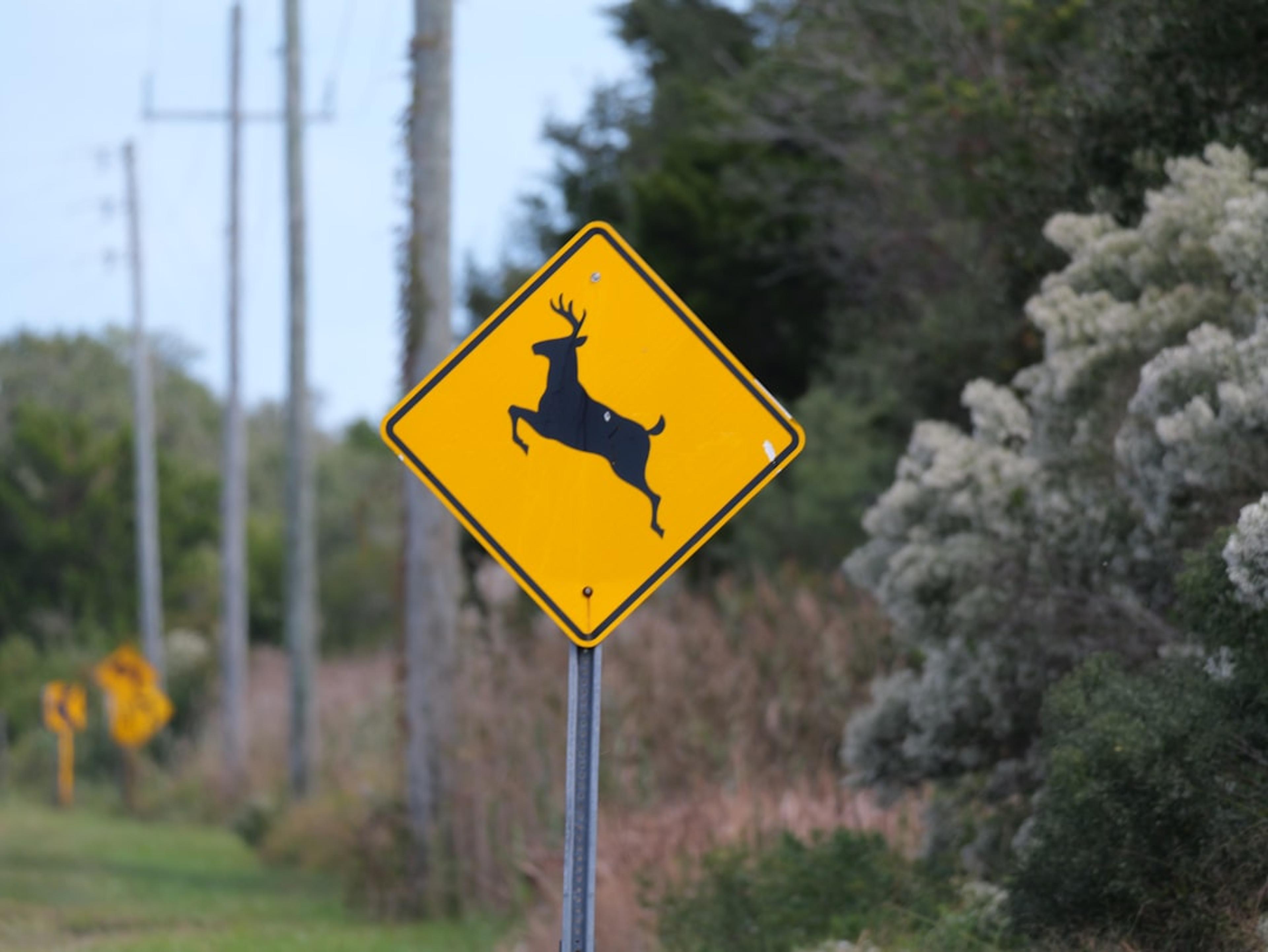 Yellow diamond deer crossing warning sign