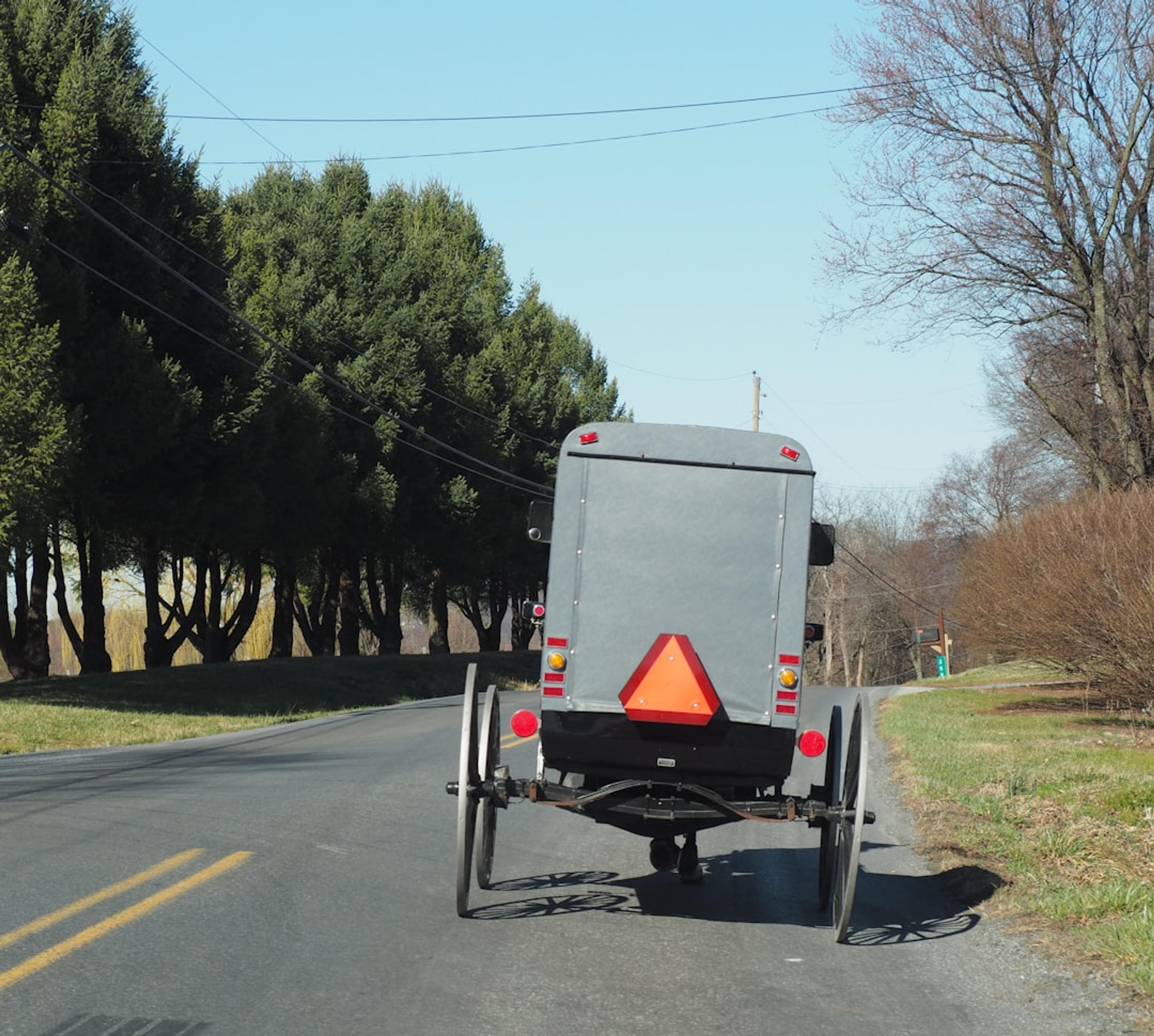 An amish buggy travels down a rural road.