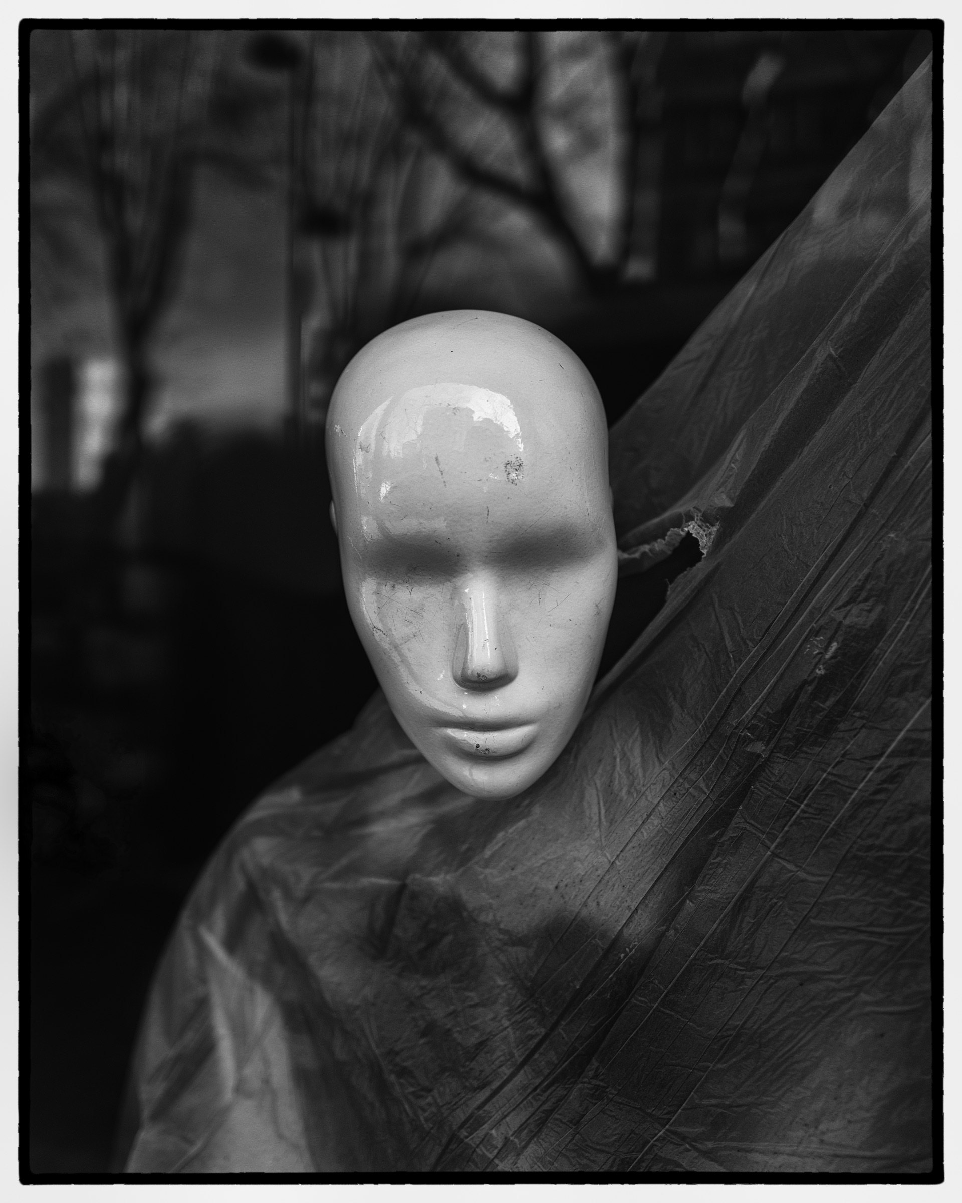 Still Life photograph 10