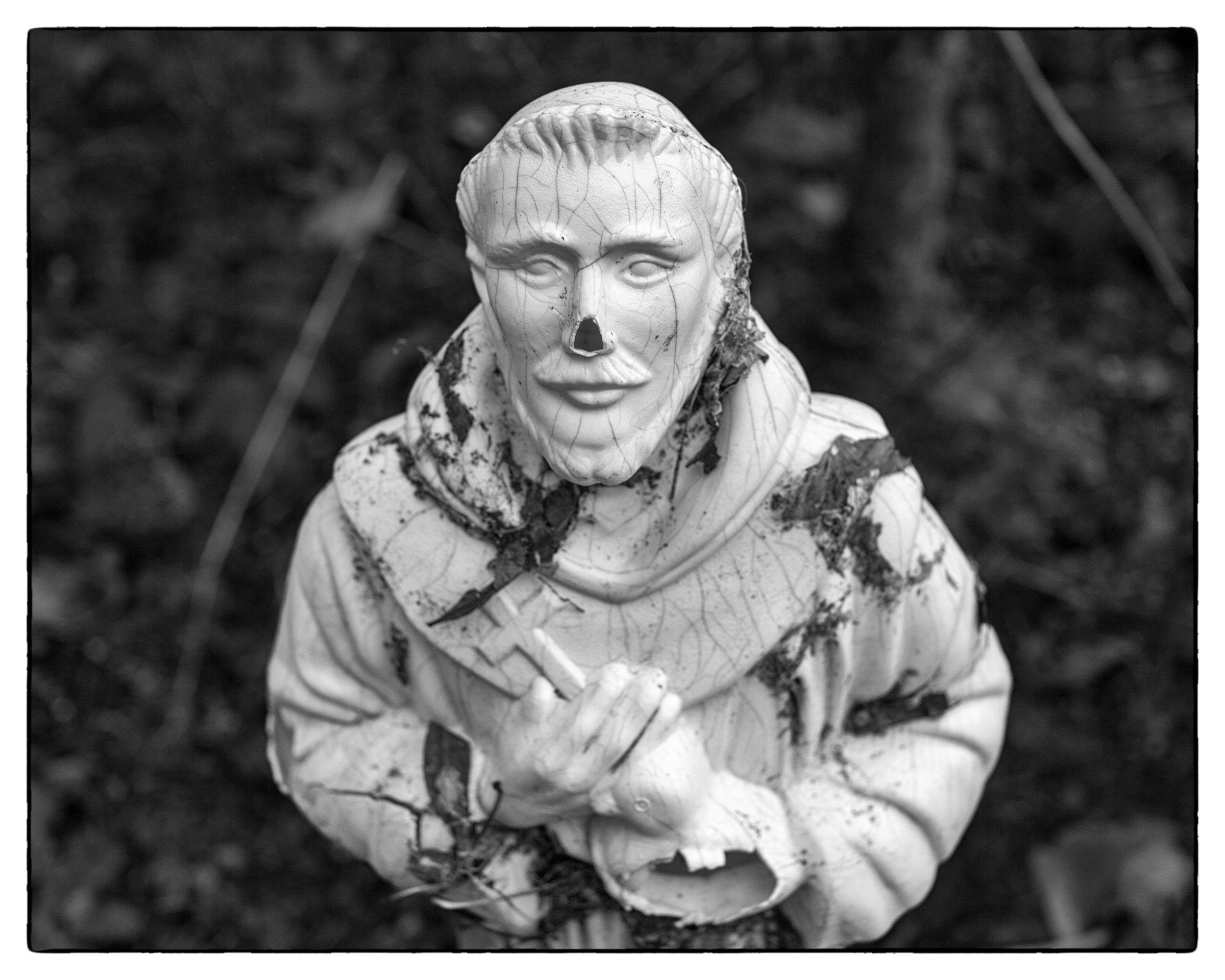 Saint Francis in Garden