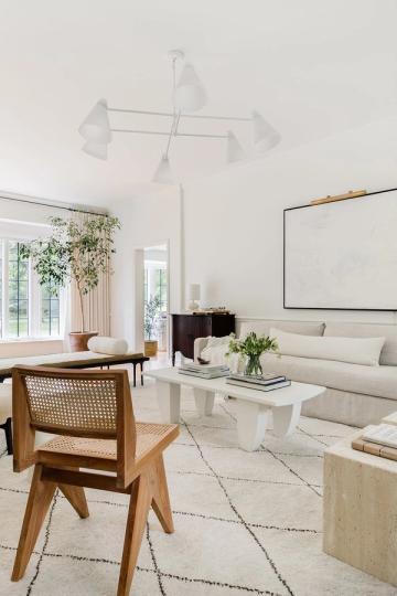 Minimalist organic modern space with cream sofa, natural wood chair, potted greenery, and warm earth-tone accents