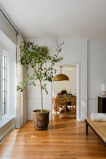 Bright transitional hallway with potted tree, brass pendant light, and warm wood floors