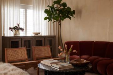 Warm contemporary living room blending deep burgundy velvet seating with wood furnishings and natural greenery in soft, inviting tones