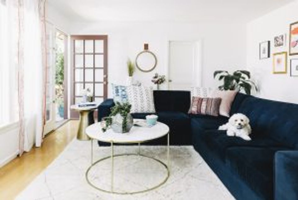 Contemporary living room featuring navy sofa, geometric rug, round mirror, and bright natural light