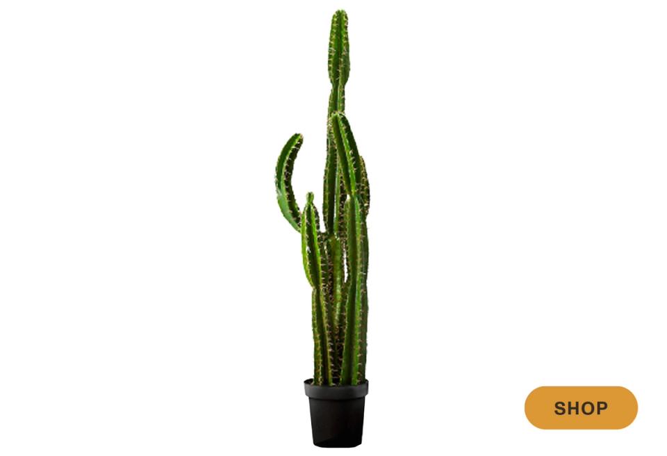 Sculptural columnar cactus faux plant in black pot, modern minimalist desert-inspired accent