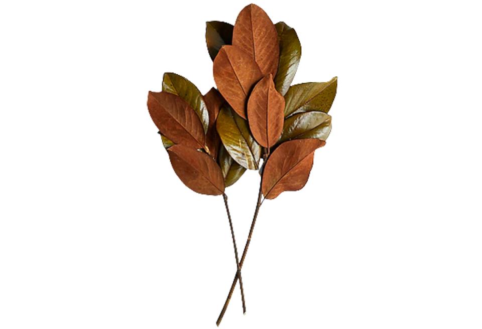 Autumn-inspired dried leaves in warm rust and olive tones on minimalist stems