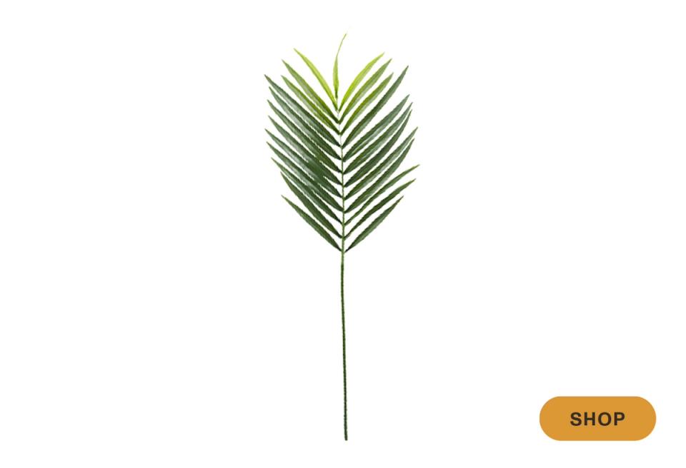 Tropical palm frond with structured geometric form for contemporary nature-inspired decor