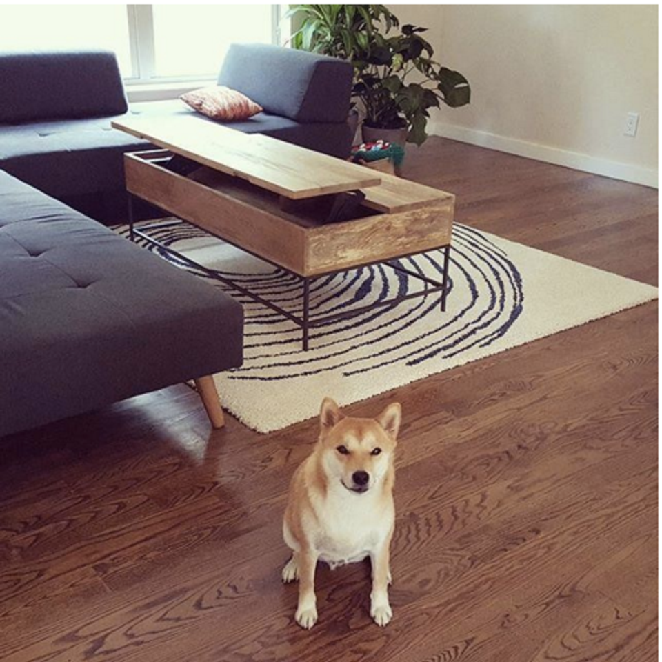 Minimalist living room with dark furniture, wood floors, and zebra rug