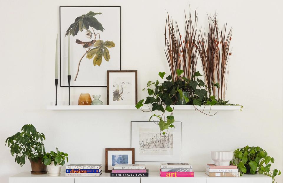 Botanical-inspired shelf display with botanical prints, potted plants, and stacked colorful books creating a natural, curated look.