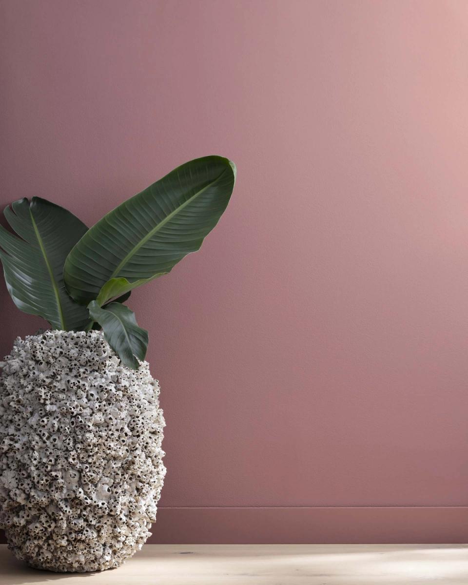 Modern botanical still life pairing dusty pink mauve wall with white textured planter and sculptural green plant