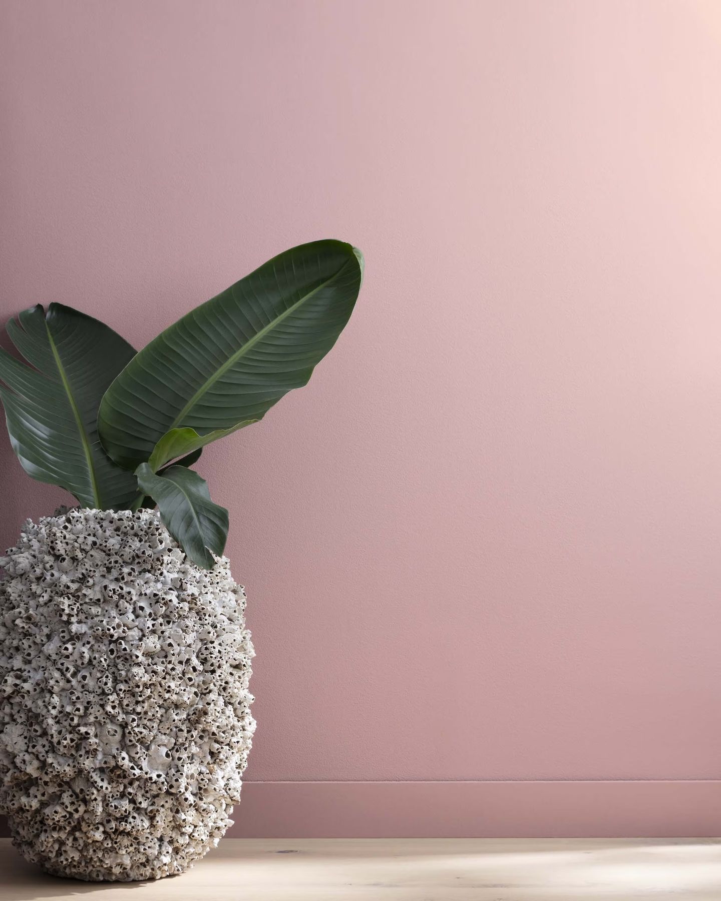 Pink Colouf 20 Pink Paint Colors for Every Design Style