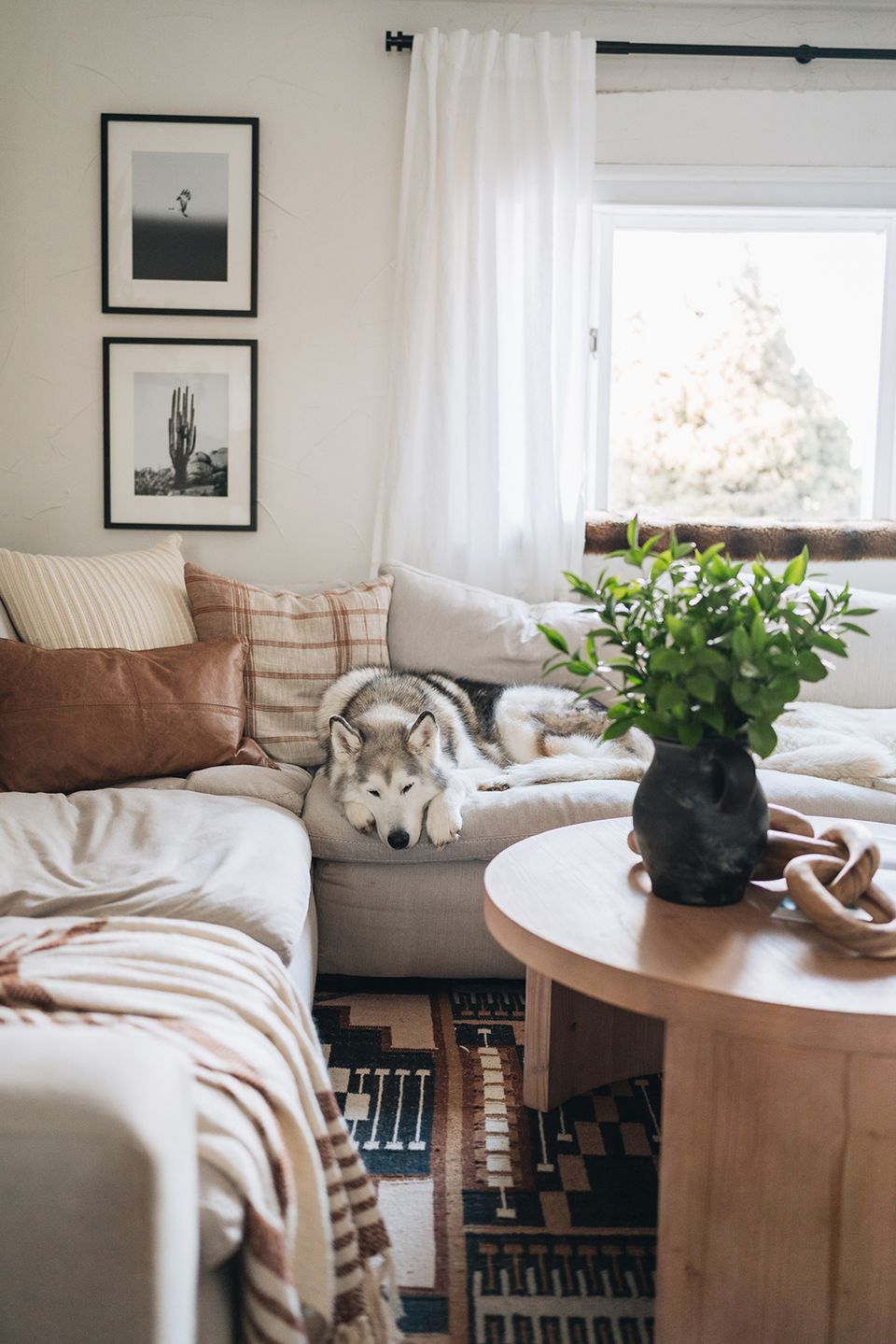 Cozy window nook with soft textiles, warm wooden accents, and botanical details in a serene, inviting atmosphere