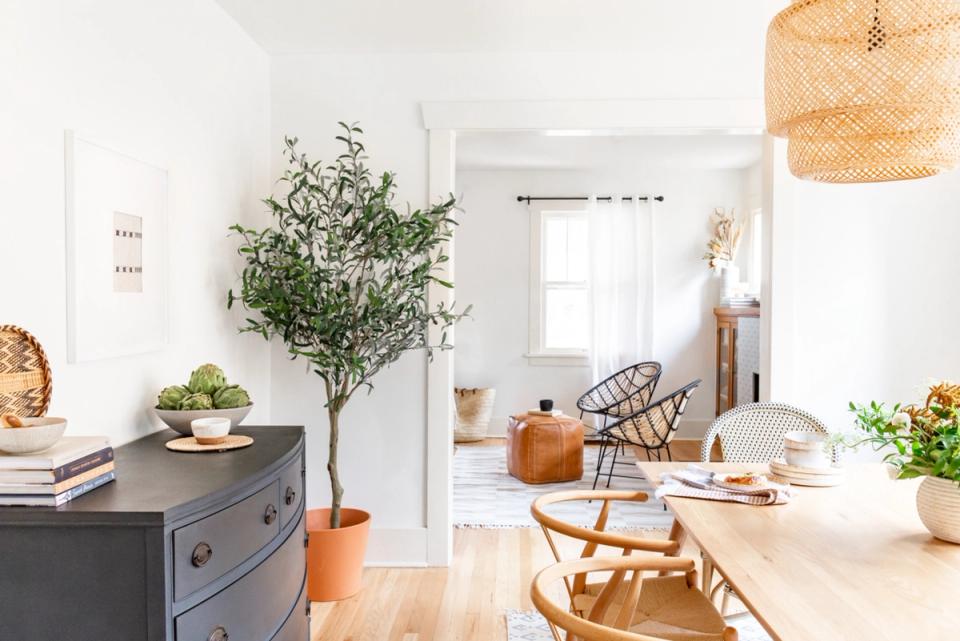 Bright Scandinavian space with natural wood and greenery creating a calm, botanical aesthetic