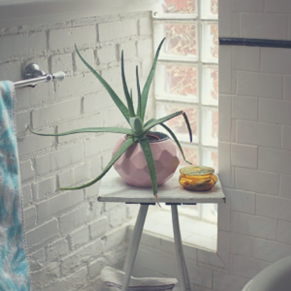 Modern industrial bathroom with potted spider plant on small metal stand by window
