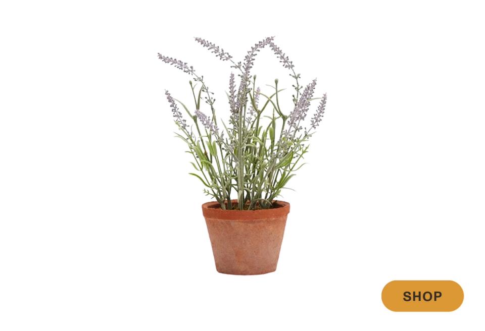 Botanical arrangement: feathery lavender-like faux plant in terracotta pot, soft neutral aesthetic
