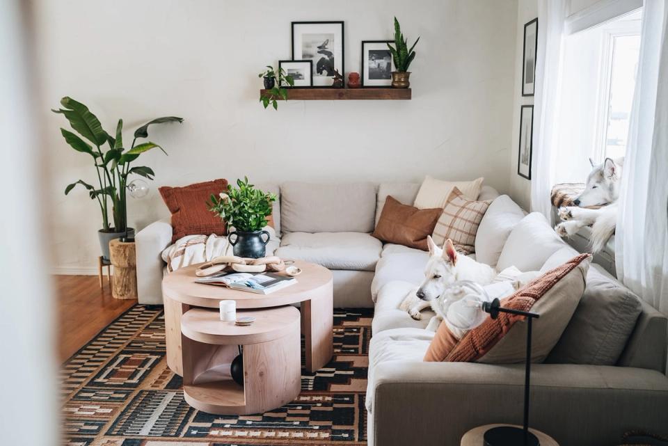 Warm, eclectic living room blending rustic and modern styles with terracotta accents, layered textures, and lush greenery