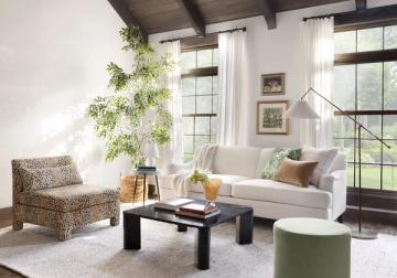 Bright living room blending natural textures, greenery, and minimalist modern furnishings