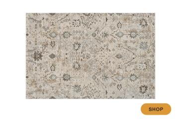 Vintage-inspired neutral area rug with muted floral scattered pattern and aged finish